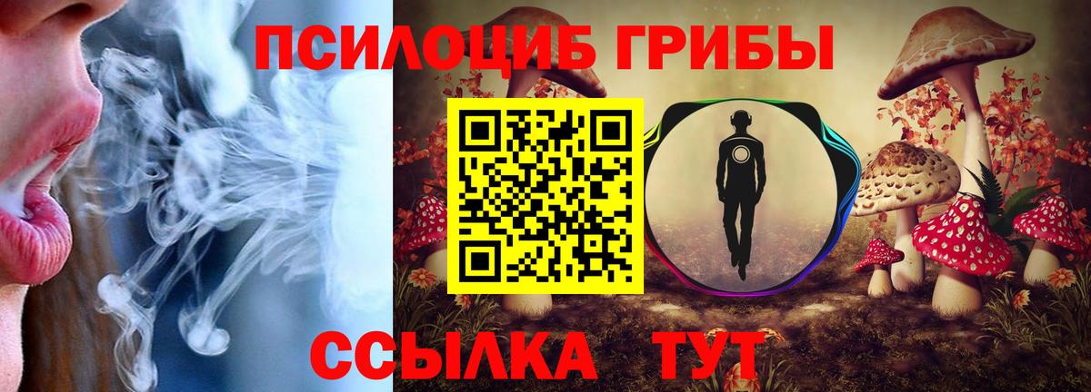 Псилоцибиновые грибы Psilocybe  Вход с VPN  Бугуруслан  Галлюциногенные грибы прущие грибы 