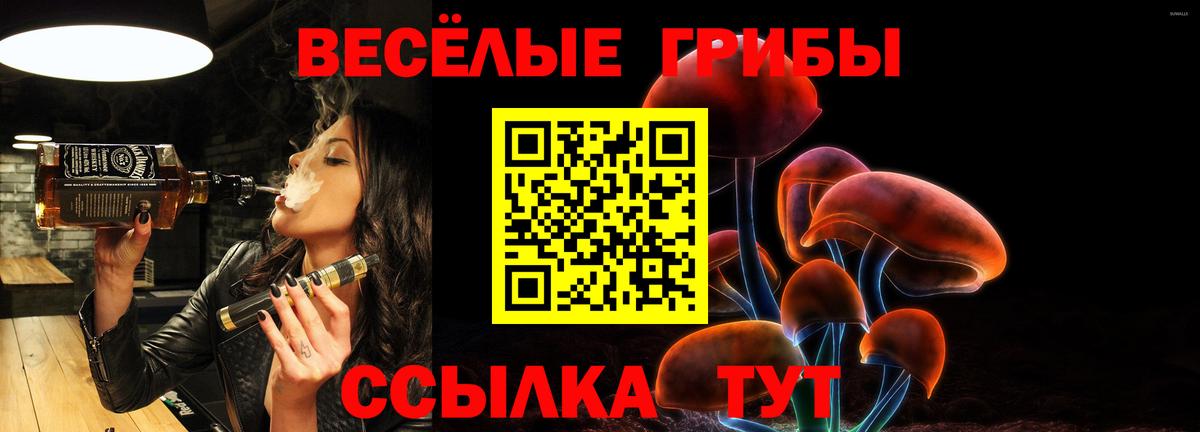 Галлюциногенные грибы Psilocybine cubensis Бугуруслан